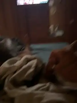 ferdi190 online show from October 2025 10:58:02 AM