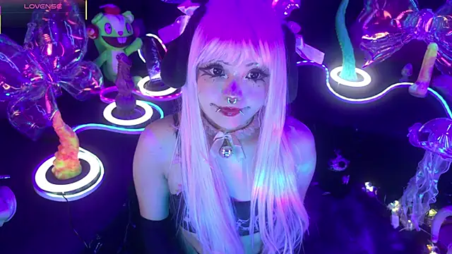 LaytonBox online show from March 2026 01:22:01 PM