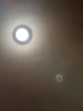 Snapshot of MrDaddyBbSnake chatting on January 2025 04:29:01 AM MrDaddyBbSnake online show from January 2025 04:29:01 AM