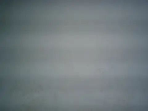 michel1520 online show from July 2026 03:23:01 AM