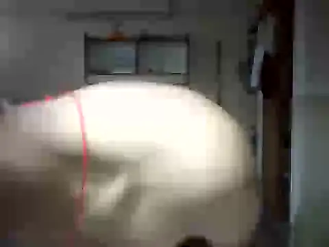 Snapshot of venom26 chatting on September 2025 09:52:01 AM venom26 online show from September 2025 09:52:01 AM