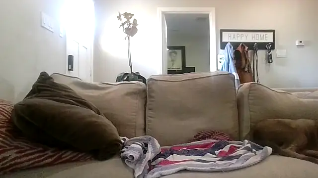 Snapshot of AcceptableForecast56 chatting on February 2026 01:42:01 PM AcceptableForecast56 online show from February 2026 01:42:01 PM