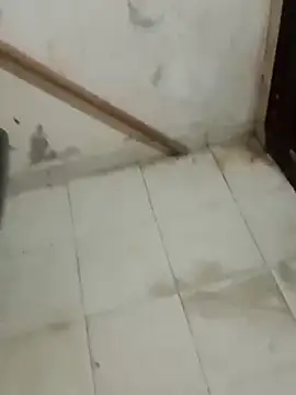 Snapshot of Jinenez chatting on February 2025 08:37:02 AM Jinenez online show from February 2025 08:37:02 AM