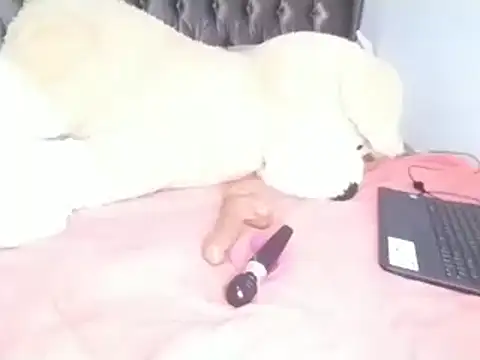 Chandy012 online show from April 2026 06:13:01 AM