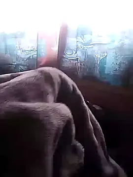 LaneYam online show from July 2026 07:09:02 AM
