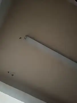 Snapshot of boyvergon chatting on January 2025 06:36:02 AM boyvergon online show from January 2025 06:36:02 AM