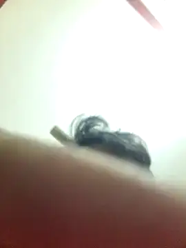 Snapshot of Marvelous_Piyush chatting on March 2025 08:19:02 AM Marvelous Piyush online show from March 2025 08:19:02 AM