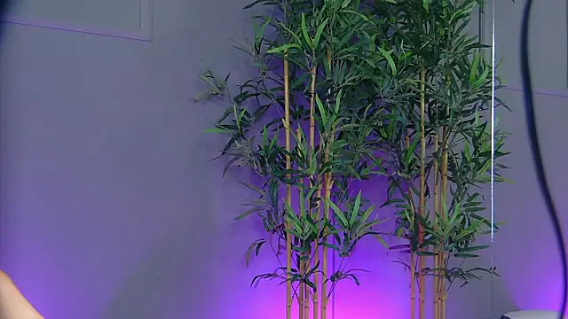 PatriciaSpice online show from January 2026 05:34:02 AM