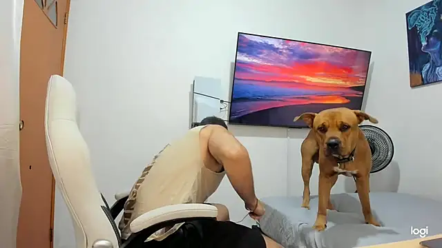 jackpit7 online show from July 2026 06:05:01 AM