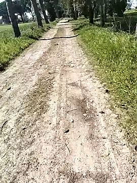 arveia online show from April 2026 12:57:02 PM