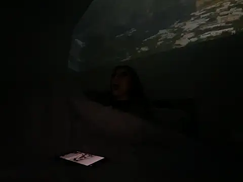 Snapshot of geld_88 chatting on February 2025 11:32:01 AM geld 88 online show from February 2025 11:32:01 AM