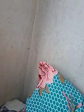 Snapshot of novinhatransexy chatting on November 2025 05:25:02 PM novinhatransexy online show from November 2025 05:25:02 PM