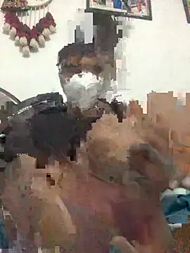 Snapshot of punjabi_munda38 chatting on January 2025 03:55:02 PM punjabi munda38 online show from January 2025 03:55:02 PM