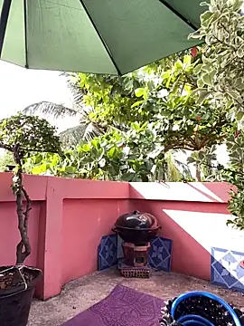 White Lu online show from April 2026 01:38:01 AM