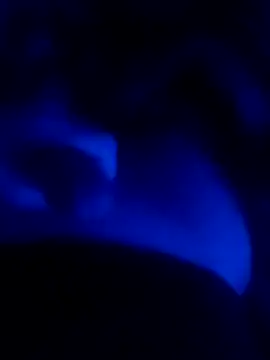 Snapshot of MAKAYALE7949 chatting on February 2026 12:23:02 PM MAKAYALE7949 online show from February 2026 12:23:02 PM