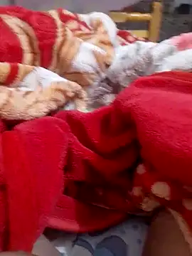 mhmia online show from February 2025 01:16:02 AM