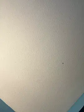 Snapshot of squirmxx10 chatting on March 2025 06:33:02 AM squirmxx10 online show from March 2025 06:33:02 AM