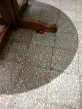 Snapshot of parejarica420 chatting on March 2026 08:38:01 PM parejarica420 online show from March 2026 08:38:01 PM