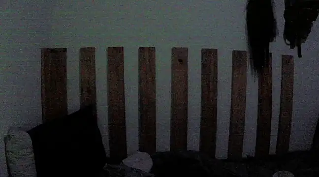 DarkhellMiss online show from February 2025 10:40:02 PM