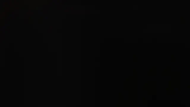 joachimheiss online show from April 2026 07:13:02 AM