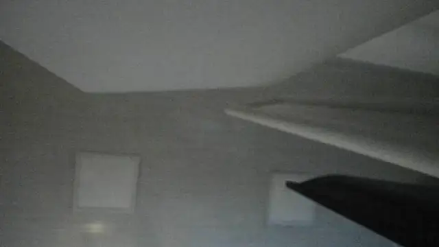 ninna curly online show from June 2026 03:17:01 AM