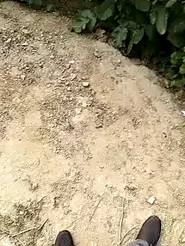 xmanrawan2 online show from January 2025 10:50:02 AM