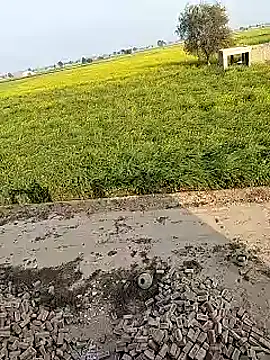 xmanrawan2 online show from February 2025 10:57:01 AM