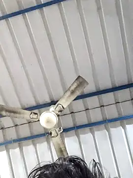 Snapshot of birds0641 chatting on February 2025 05:52:01 AM birds0641 online show from February 2025 05:52:01 AM