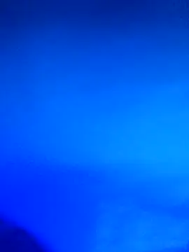 wadmma online show from February 2026 11:39:02 PM