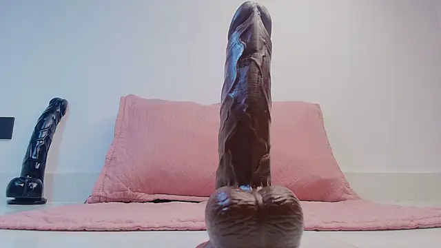 sharlott miller online show from February 2026 11:58:02 AM