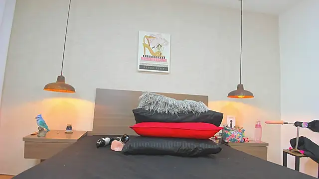 amanda29 online show from September 2025 07:58:02 PM