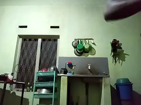 Snapshot of Lakmin chatting on February 2025 06:31:02 PM Lakmin online show from February 2025 06:31:02 PM