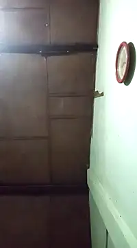 Snapshot of Lakmin chatting on February 2025 06:05:02 PM Lakmin online show from February 2025 06:05:02 PM