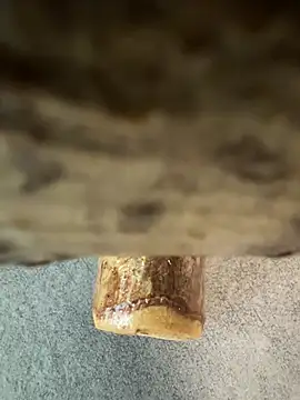 Snapshot of fuocovivo4 chatting on January 2025 11:11:02 AM fuocovivo4 online show from January 2025 11:11:02 AM