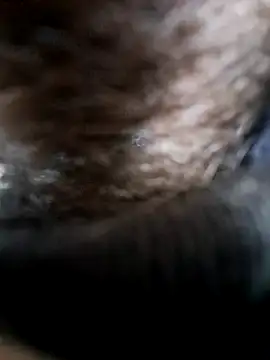 Singleboylucknow online show from February 2025 07:36:02 AM