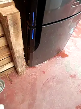 HotC1991 online show from January 2026 03:17:02 PM