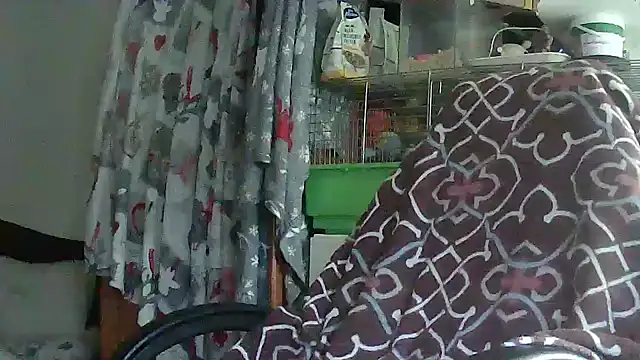 Cicamica12 online show from May 2026 04:25:02 PM