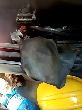 dominationmybigdick online show from October 2025 10:56:02 AM