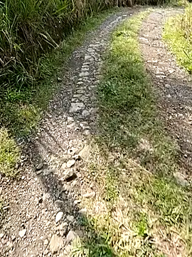 Snapshot of Dracoandr chatting on February 2025 01:32:01 PM Dracoandr online show from February 2025 01:32:01 PM