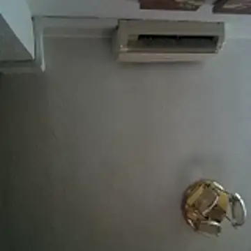 jonymoreno online show from July 2026 08:33:02 PM