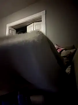 Snapshot of GsSpot69 chatting on November 2025 04:04:01 AM GsSpot69 online show from November 2025 04:04:01 AM