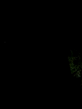 Snapshot of hintly chatting on October 2025 11:12:02 AM hintly online show from October 2025 11:12:02 AM