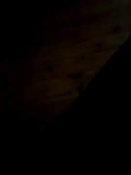 Arabian online show from February 2025 09:46:01 PM