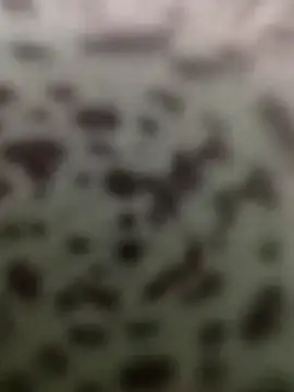 Yashkumar 0697 online show from October 2025 08:42:02 PM