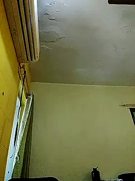 Snapshot of crazyfreaking chatting on February 2025 07:26:02 AM crazyfreaking online show from February 2025 07:26:02 AM