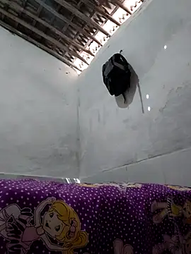 shuelldin online show from May 2026 01:17:02 PM