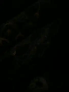 leonard  123 online show from February 2025 10:10:02 PM