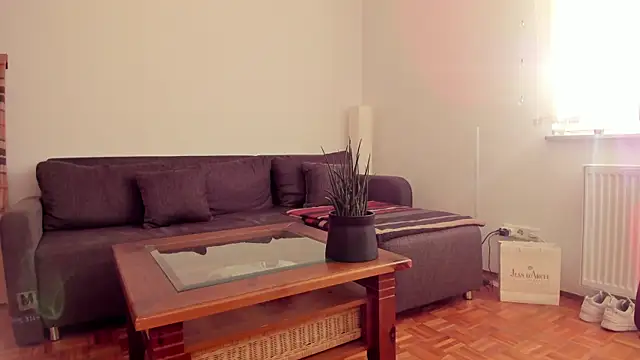 molicaremolicare online show from November 2025 07:31:02 AM