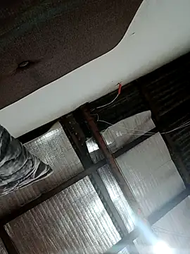 alansex 19 online show from October 2025 01:57:01 AM