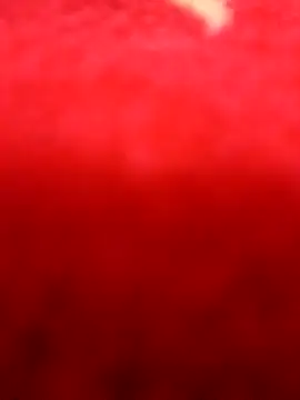 Snapshot of alansex_19 chatting on August 2026 01:48:01 AM alansex 19 online show from August 2026 01:48:01 AM